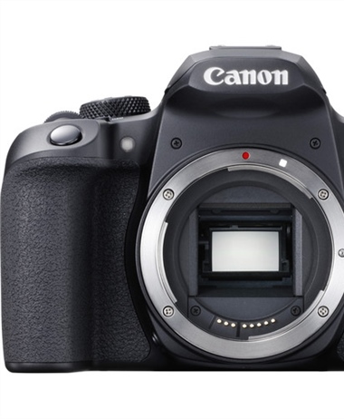 Canon delays shipping the Canon Rebel T8i/850D