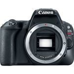 Canon 200D/SL2 replacement mentioned