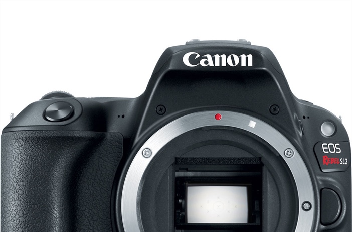 Canon 200D/SL2 replacement mentioned