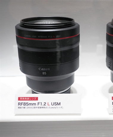 What about the Canon RF 85mm 1.2L USM DS?