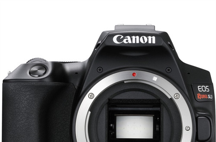 Canon Rebel SL3 (250D) sample gallery
