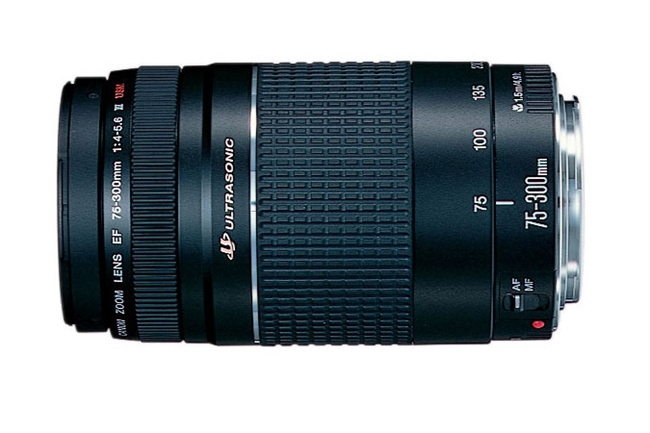 Canon EF 75-300mm f/4-5.6 III USM