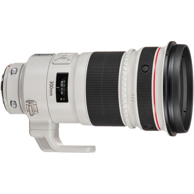 New Rumor: Canon to launch a Canon RF 300mm 2.8 L IS USM in 2020