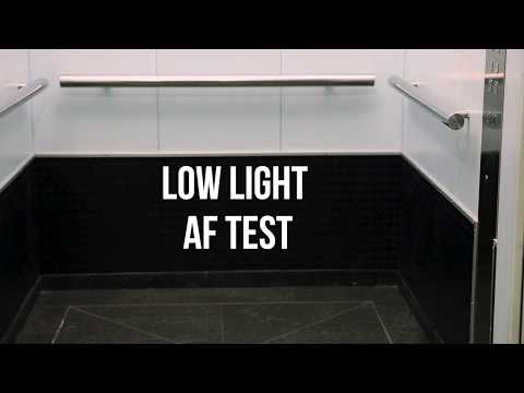 Low light AF Test: EOS R, Sony A7 III, and Nikon Z6