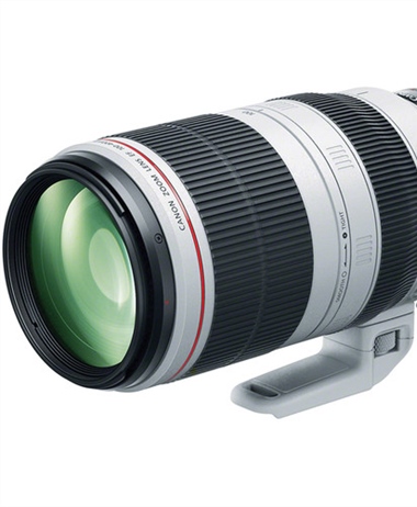 Canon RF super telephoto zoom coming in 2020?