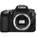 Canon 90D Review