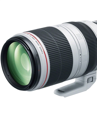 New Rumor: Canon RF 100-500 on it's way