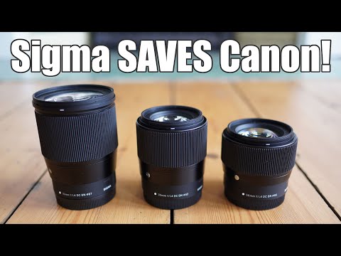 Review of the Sigma EOS-M lenses