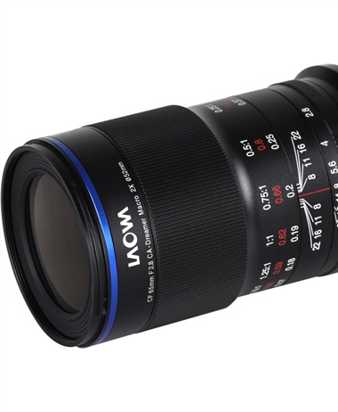 Laowa 65mm f/2.8 2x Ultra Macro APO Review