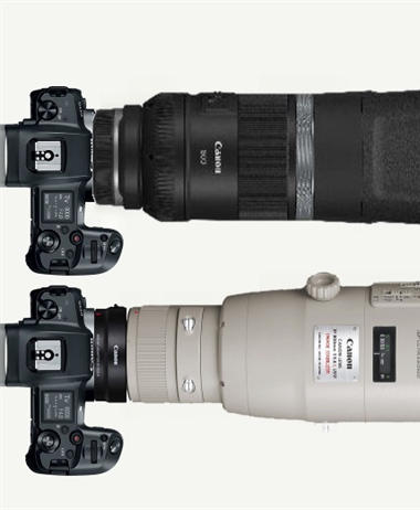 The Canon RF 600 and 800mm INSANE prices have leaked - Supertelephotos...