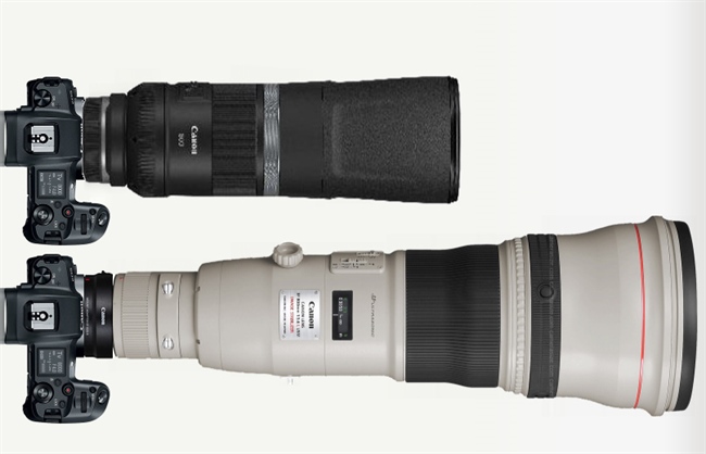 The Canon RF 600 and 800mm INSANE prices have leaked - Supertelephotos for the masses