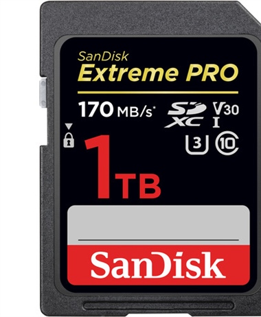 Sandisk Thanksgiving Specials