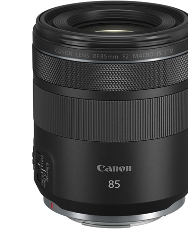 Canon RF 85mm f/2 STM IS Macro Review