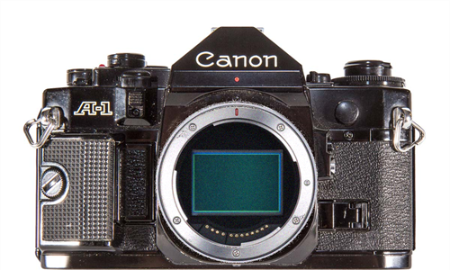 The Nikon Zfc and Canon
