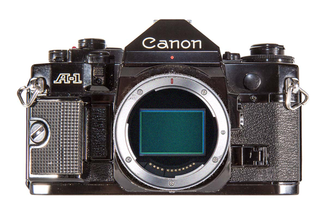 The Nikon Zfc and Canon