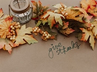Happy Thanksgiving!