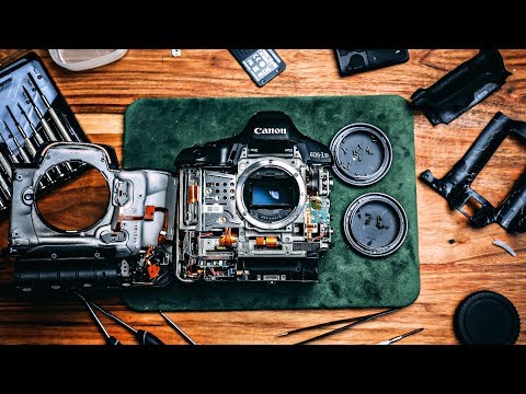 Ever want to tear apart your 1DX Mark II?