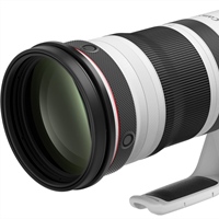 Canon RF 300-600mm f/5.6L VCM Rumored: Crowded Super Tele Zoom Market?