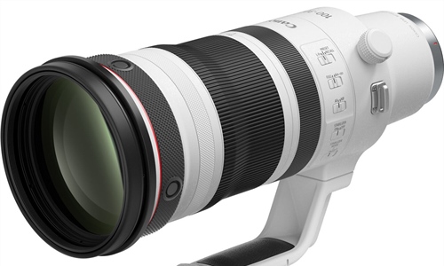 Canon RF 300-600mm f/5.6L VCM Rumored: Crowded Super Tele Zoom Market?