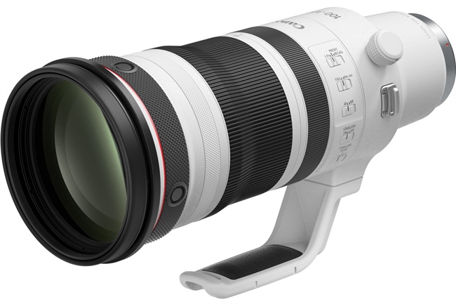Canon RF 300-600mm f/5.6L VCM Rumored: Crowded Super Tele Zoom Market?