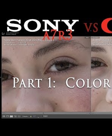 Canon Color Science: 5D Mark IV versus the A7R III