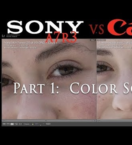 Canon Color Science: 5D Mark IV versus the A7R III