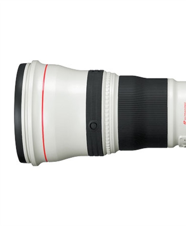 Rumor: New Canon Supertelephoto lenses are coming