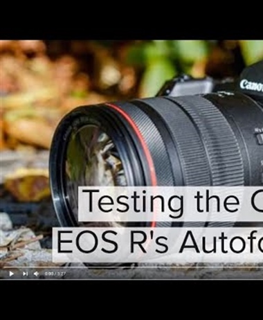 Canon EOS R Autofocus test