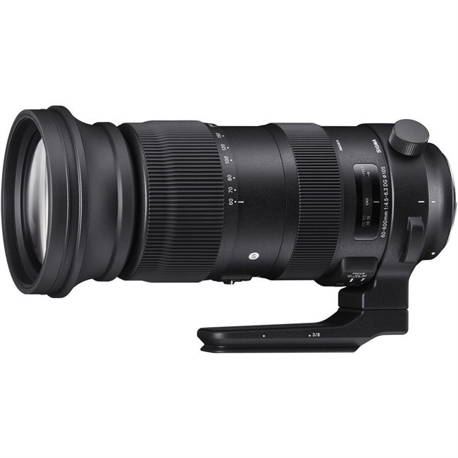 PhotographyBlog: Sigma 60-600mm Sports review