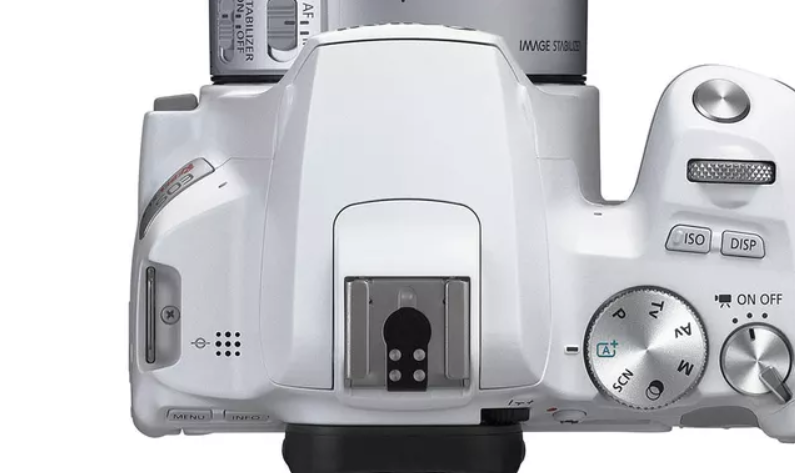 best vlogging equipment for beginners