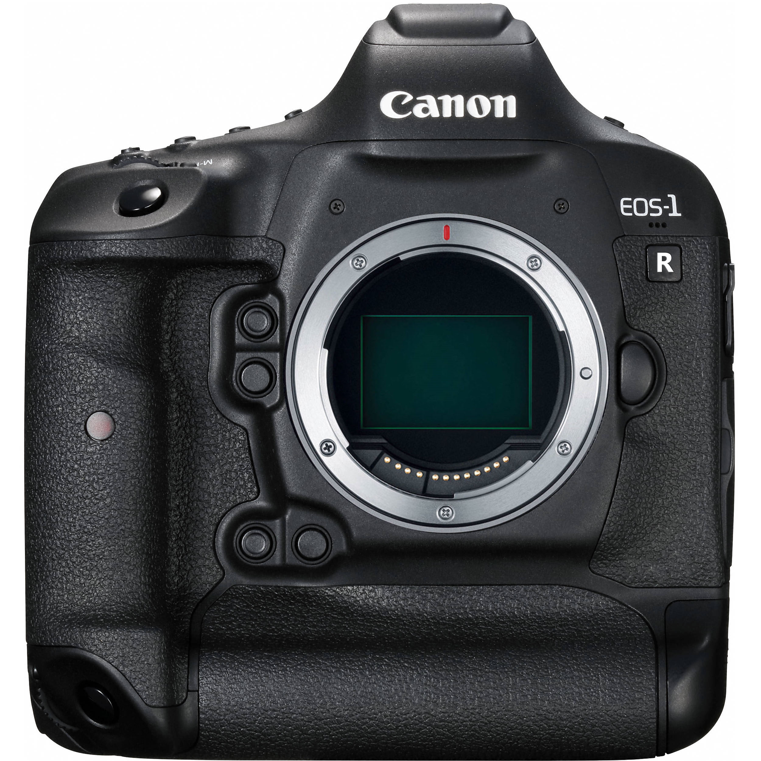 mirrorless 1dx